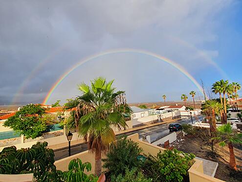 Amarilla-NL-Oct21Rainbow