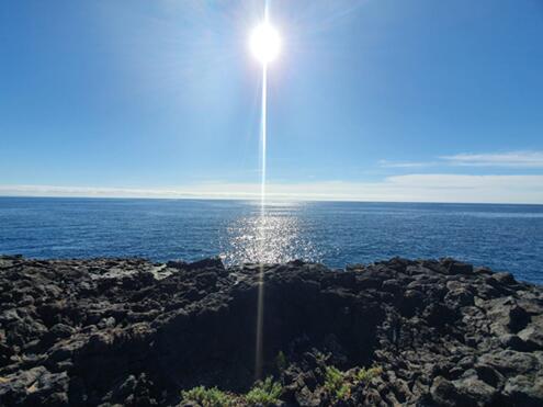 NieuwsbriefFeb2021-88