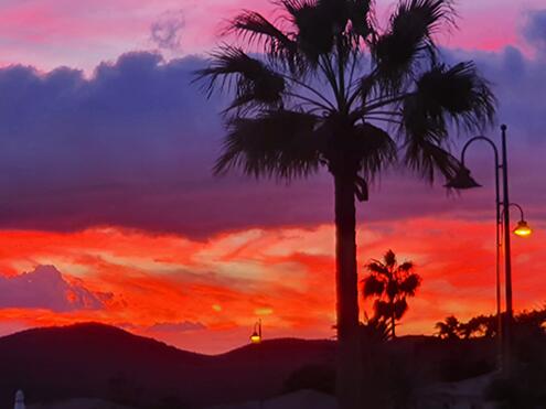 Nieuws-Sept-Photos-8