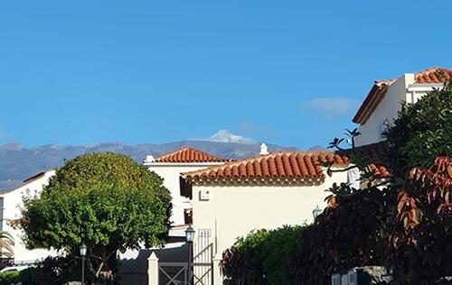 PHOTO-2020-12-02-10-49-56E