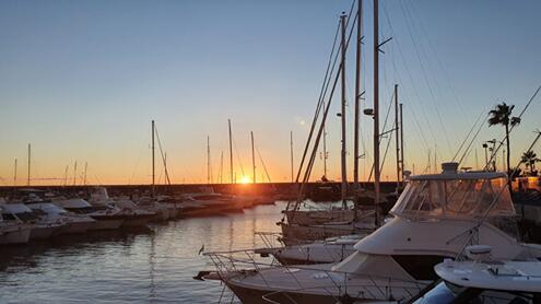 Newsletter-Feb-2022-29