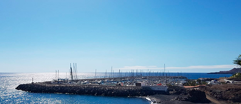 Amarilla-Marina
