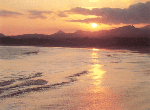 afbeelding005-300x221